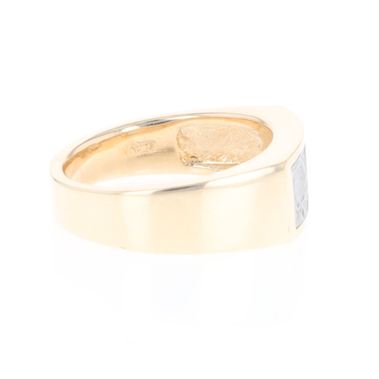 Rectangle Meteorite Inlaid Ring
