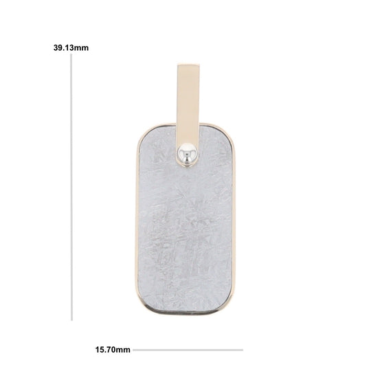 Meteorite Reversible Dog Tag Pendant