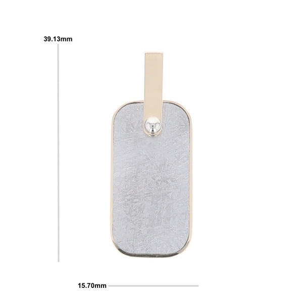 Meteorite Reversible Dog Tag Pendant