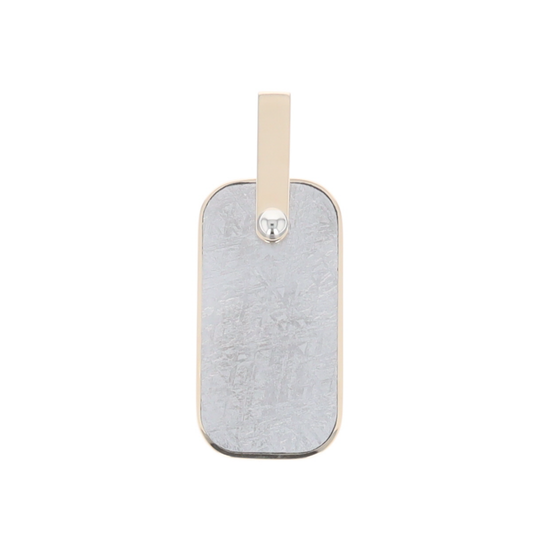 Meteorite Reversible Dog Tag Pendant