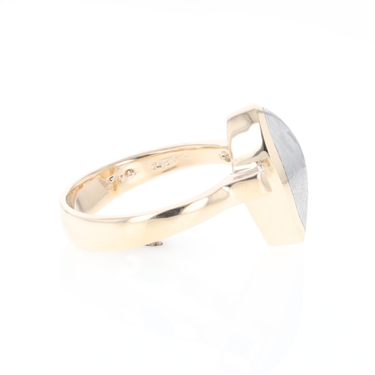 Meteorite Pear Shape Inlay Ring