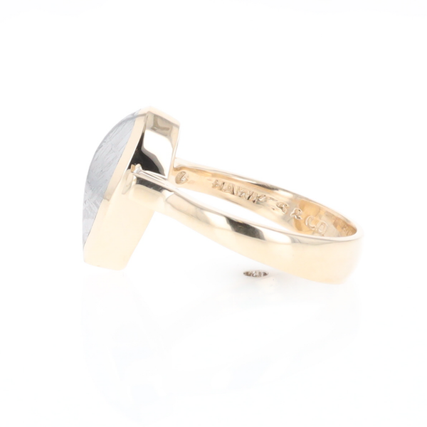 Meteorite Pear Shape Inlay Ring