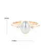 Meteorite Oval Inlay Ring