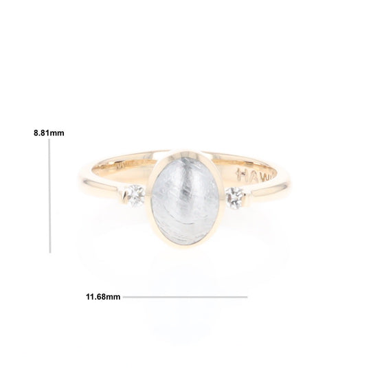 Meteorite Oval Inlay Ring