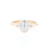 Meteorite Oval Inlay Ring