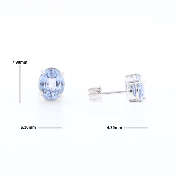 Ceylon Sapphire Stud Earrings