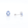 Ceylon Sapphire Stud Earrings
