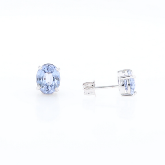 Ceylon Sapphire Stud Earrings