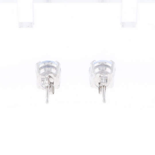 Ceylon Sapphire Stud Earrings