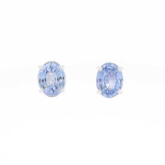 Ceylon Sapphire Stud Earrings