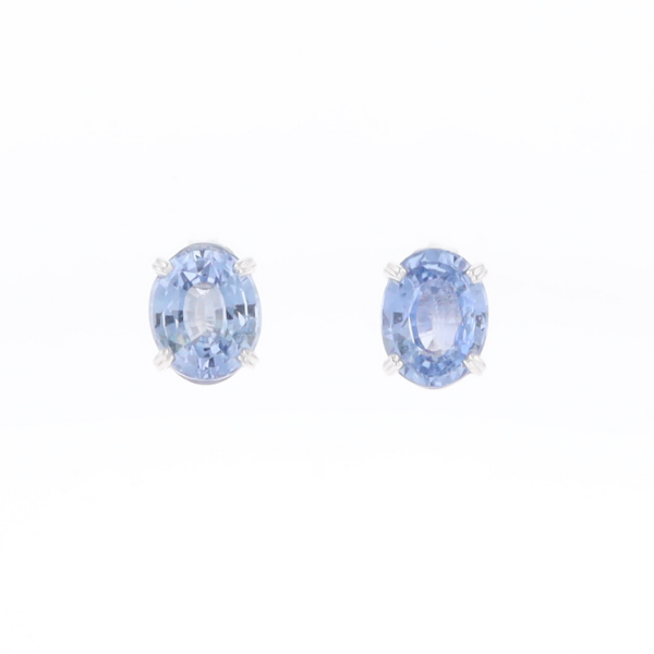 Ceylon Sapphire Stud Earrings