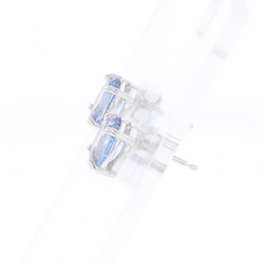 Ceylon Sapphire Stud Earrings