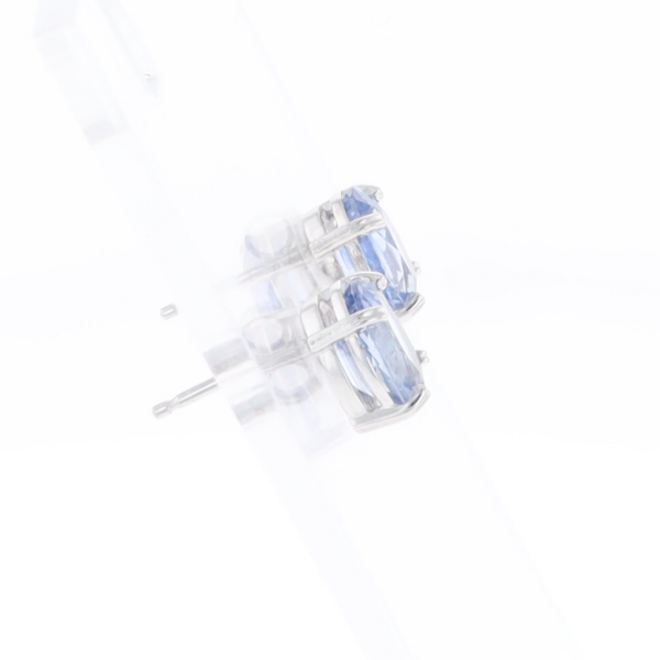Ceylon Sapphire Stud Earrings