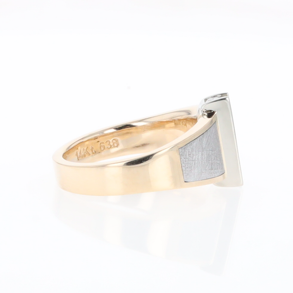 Meteorite Ring Double Sided Inlaid Design with .23ctw Diamonds