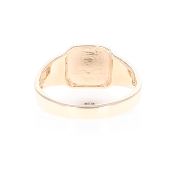 Meteorite & Gold Nugget Ring