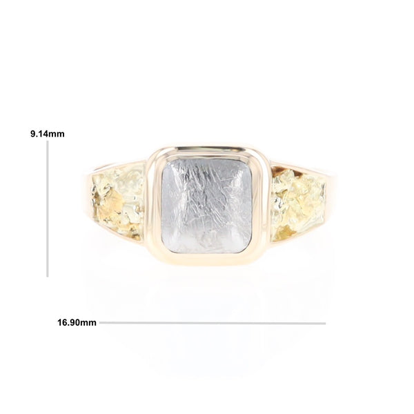 Meteorite & Gold Nugget Ring