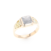 Meteorite & Gold Nugget Ring