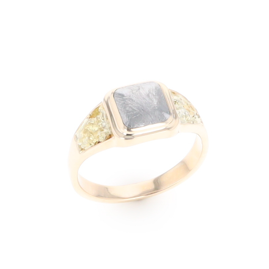 Meteorite & Gold Nugget Ring