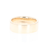 Meteorite Ring, 3 Section Inlaid Design