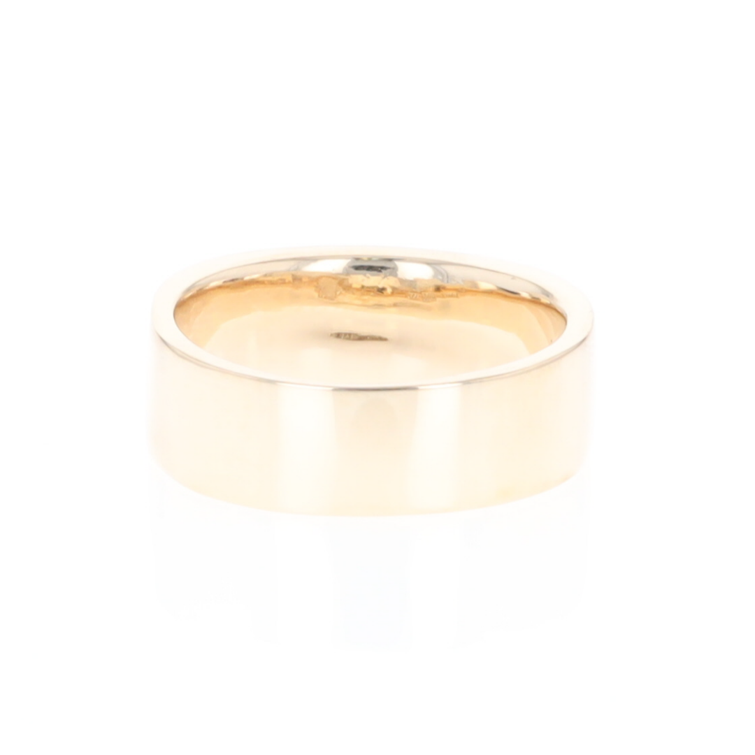 Meteorite Ring, 3 Section Inlaid Design