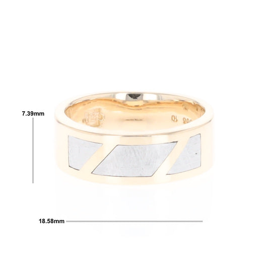 Meteorite Ring, 3 Section Inlaid Design