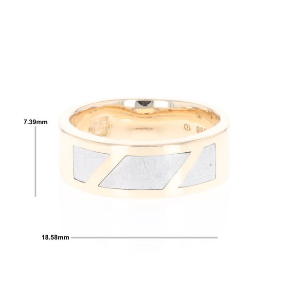 Meteorite Ring, 3 Section Inlaid Design