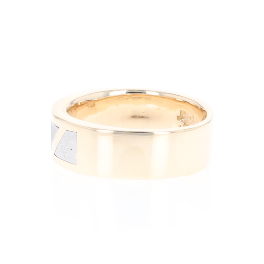 Meteorite Ring, 3 Section Inlaid Design