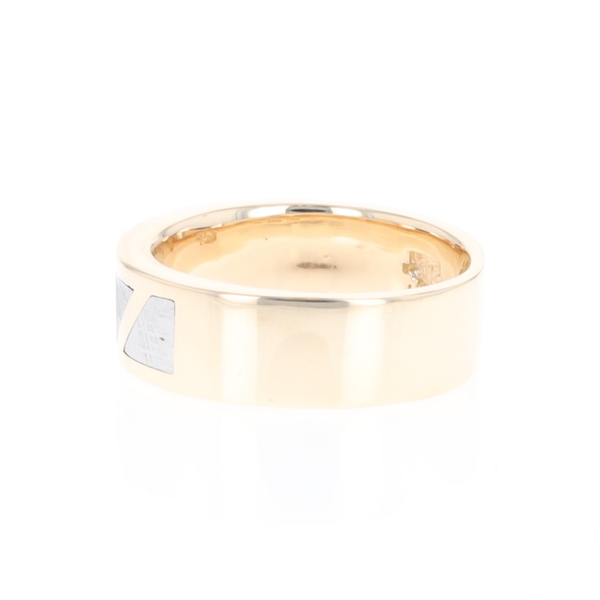 Meteorite Ring, 3 Section Inlaid Design