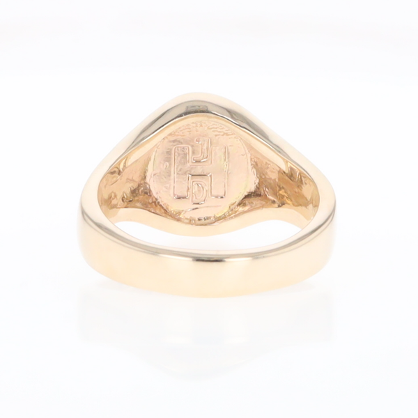 Oval Meteorite Inlaid Ring with Natural Gold Nuggets