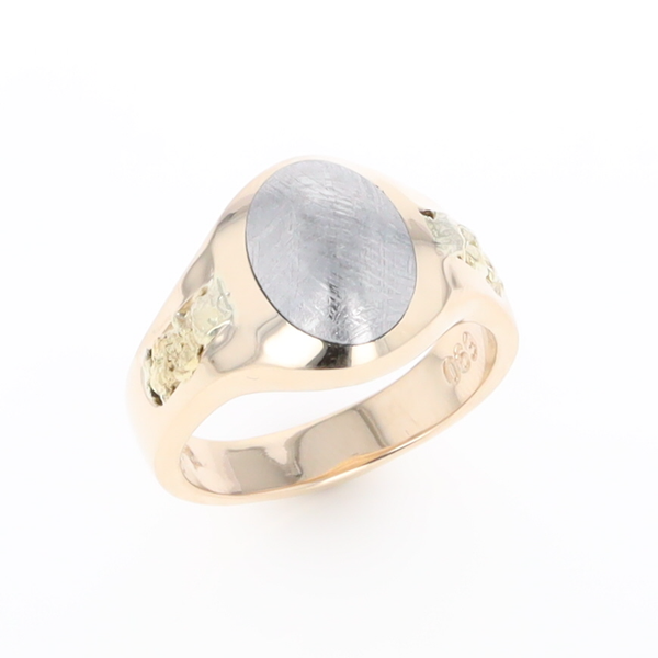 Oval Meteorite Inlaid Ring with Natural Gold Nuggets