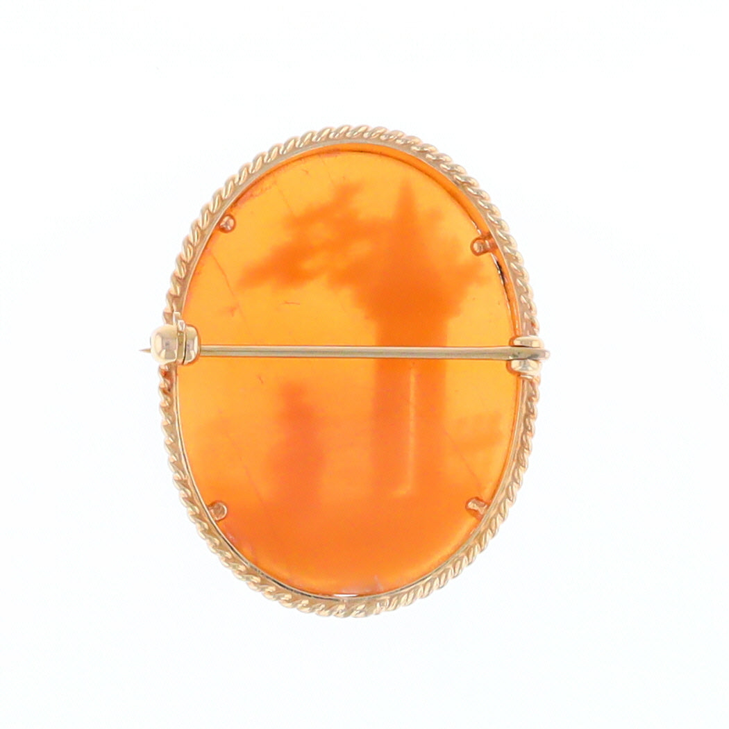 Vintage Scenic Cameo Pin/ Brooch