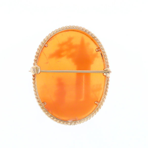 Vintage Scenic Cameo Pin/ Brooch