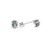 Cat's Eye Alexandrite Studs