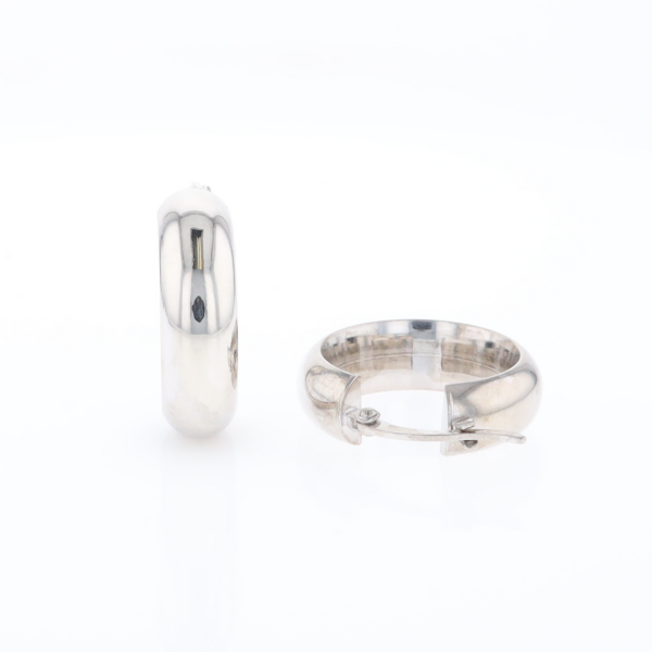 Hollow Round Tube Hoop Earrings