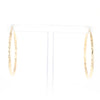 Textured Hollow Diamond Cut Hoop Earrings