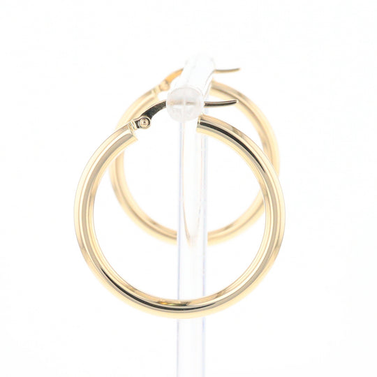 Gold Hoop Earrings