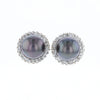 Gray Pearl Halo Studs