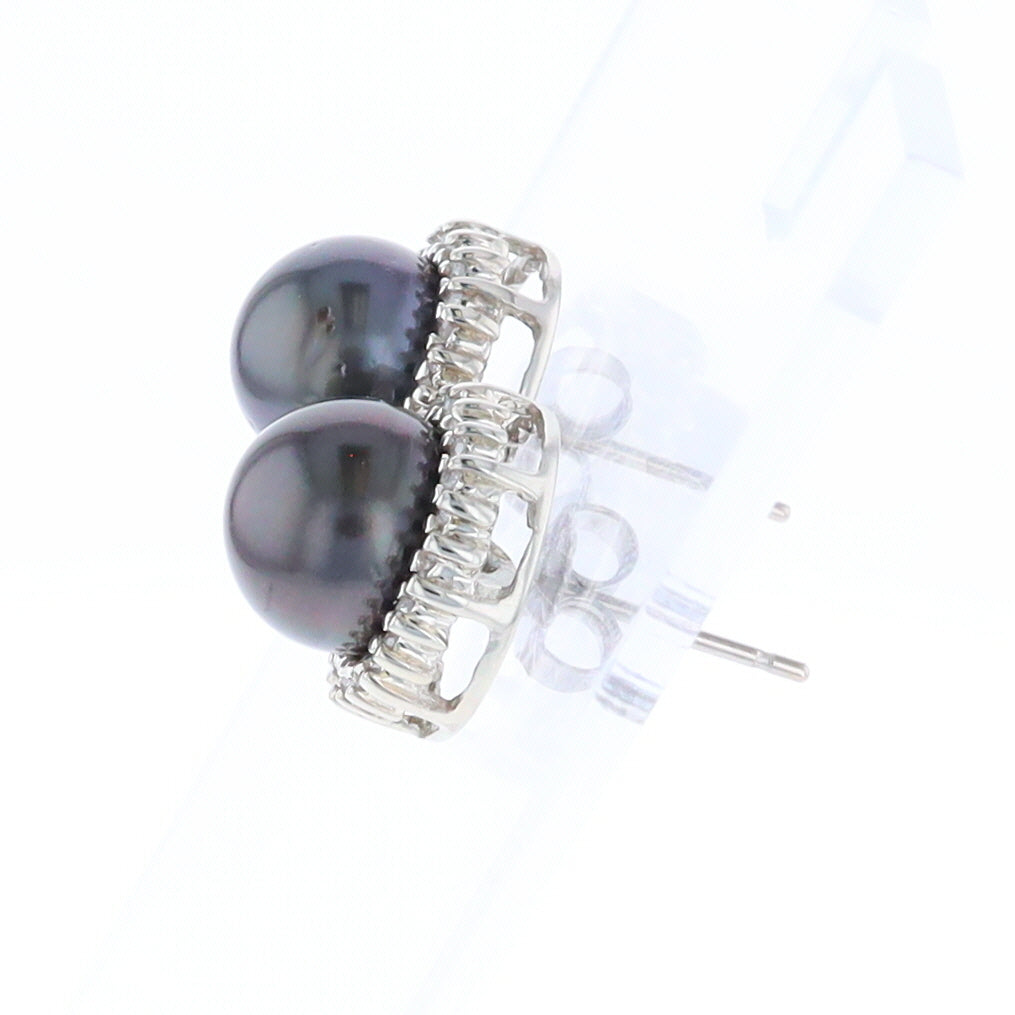 Gray Pearl Halo Studs