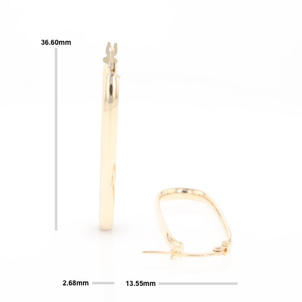 Flat Saddleback Hoop Earrings