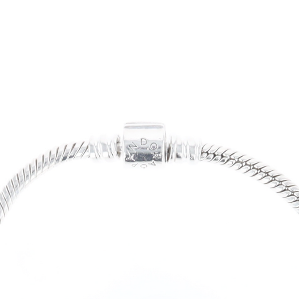 Pandora Moments Charm Bracelet