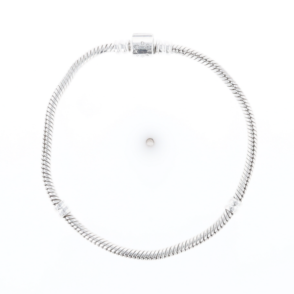 Pandora Moments Charm Bracelet