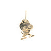 Gold Tasmanian Devil Charm