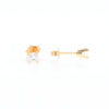 0.34ctw Diamond Stud Earrings