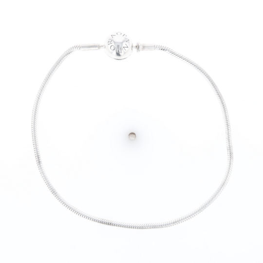 Pandora Moments Charm Bracelet