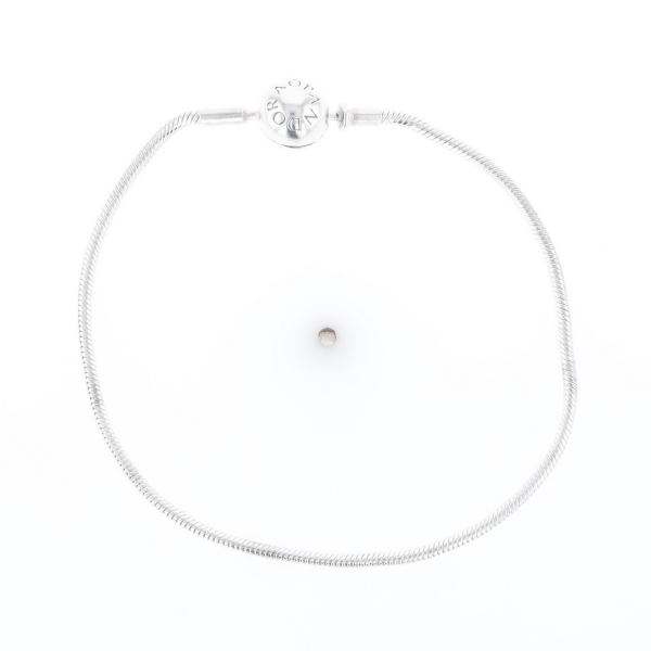 Pandora Moments Charm Bracelet