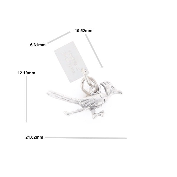 Carlsbad Caverns Roadrunner Charm