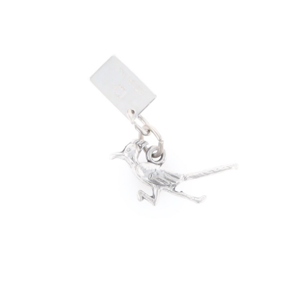 Carlsbad Caverns Roadrunner Charm