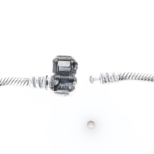 Pandora Moments Charm Bracelet