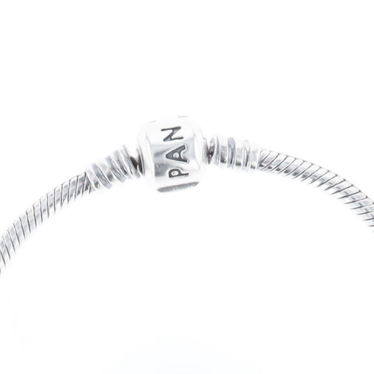 Pandora Moments Charm Bracelet