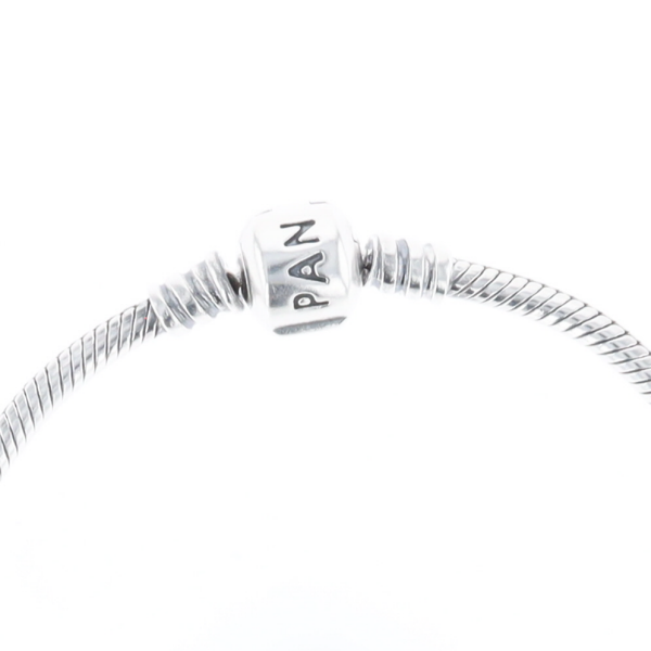 Pandora Moments Charm Bracelet